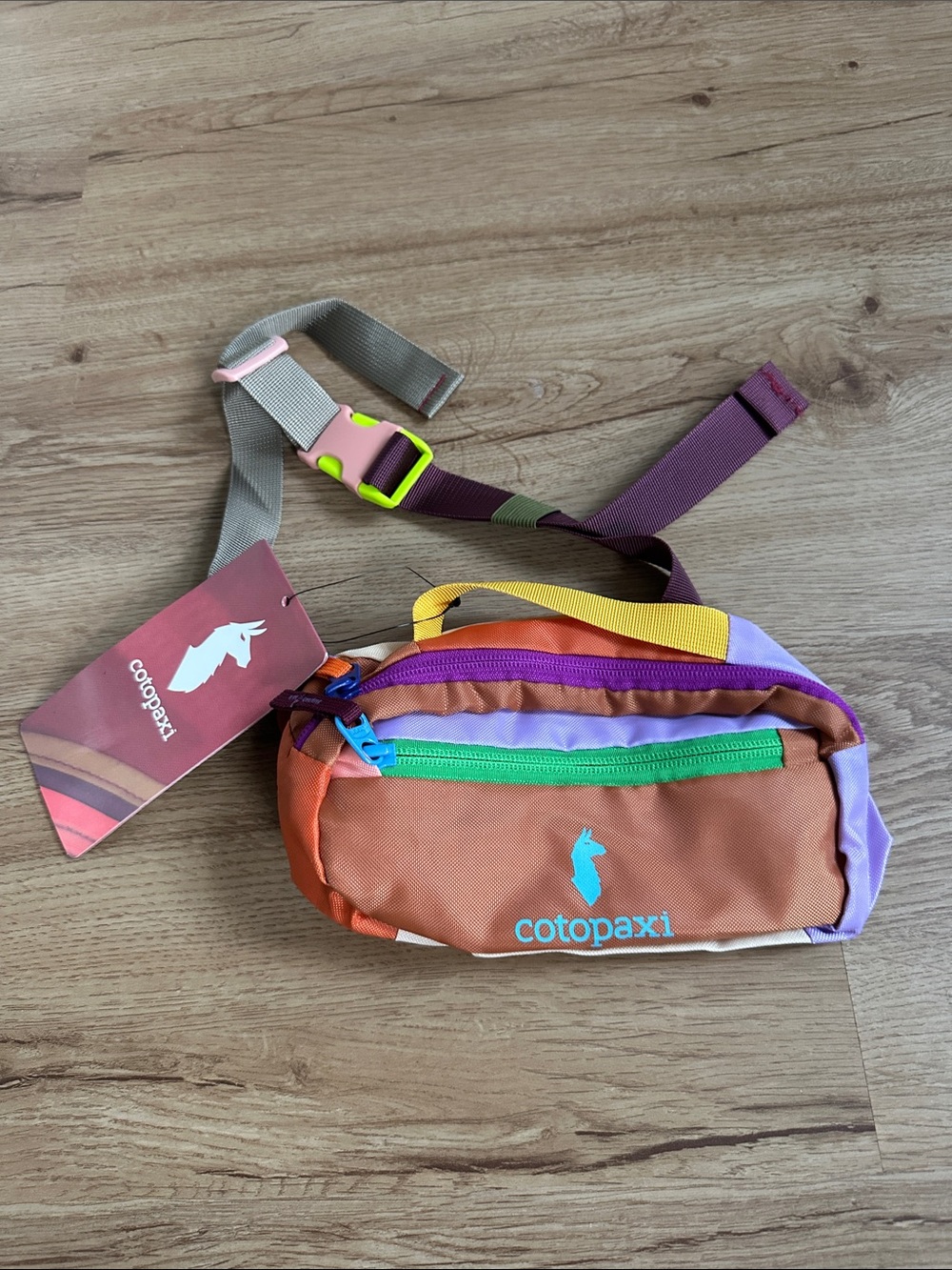 Cotopaxi belt bag